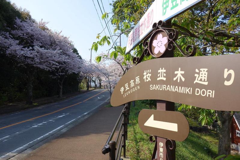伊豆高原 温泉付別荘 Isana Mountain Villa Futo Экстерьер фото