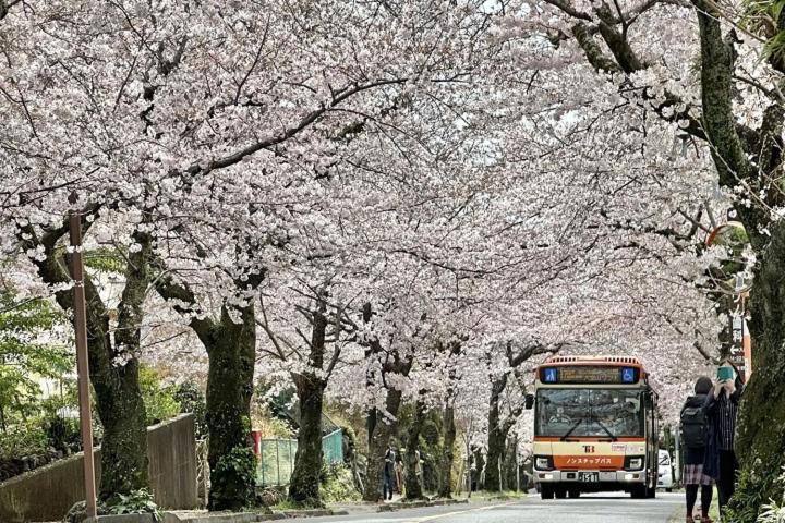 伊豆高原 温泉付別荘 Isana Mountain Villa Futo Экстерьер фото