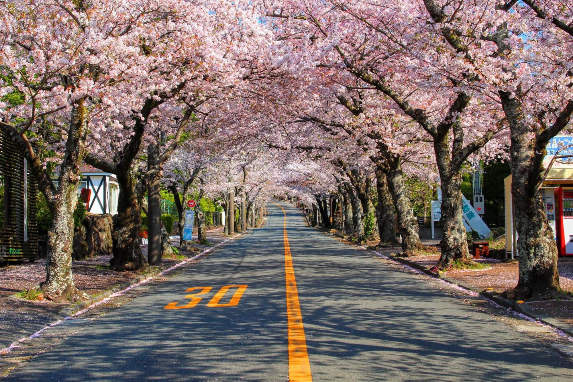 伊豆高原 温泉付別荘 Isana Mountain Villa Futo Экстерьер фото